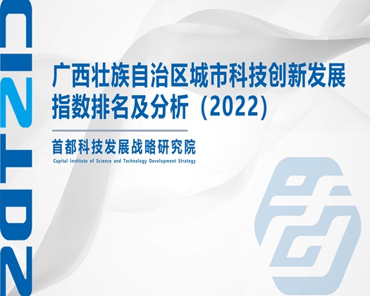 黑人操逼爽网站【成果发布】广西壮族自治区城市科技创新发展指数排名及分析（2022）